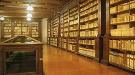 Museo Civico Il Correggio - >Correggio