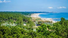 Pineta di Lido di Classe - >Lido di Classe