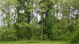 Oasi WWF di Vanzago - >Vanzago
