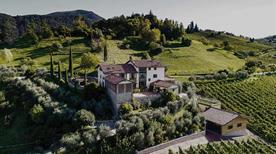Il Cipresso - >Loro Ciuffenna