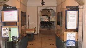 Museo e Centro Culturale 'Marco Scacchi' - >Gallese