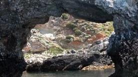 Punta del Diavolo - >Isole Tremiti