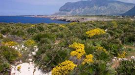 Riserva Naturale Orientata di Capo Rama - >Terrasini