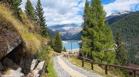 Lago di Malga Bissina - >Desenzano del Garda