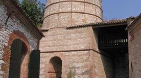 Museo Geopaleontologico Cava Bomba - >Cinto Euganeo