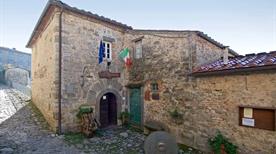 Museo del Castagno - >Pescaglia