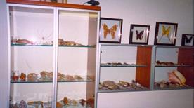 Museo Zoologico degli Invertebrati - >Avellino