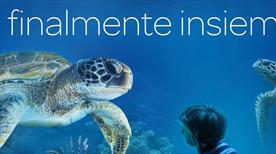Acquario di Livorno - >Livourne