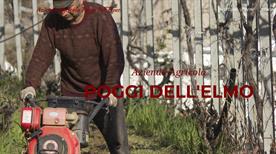 Azienda Agricola Poggi dell’Elmo  - >Soldano