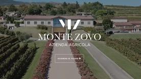 Cantina Vinicola Monte Zovo Verona - >Caprino Veronese