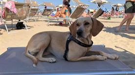 Il Trentanove Beach - >Bellaria Igea Marina