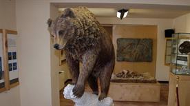 Museo dell'Orso - >Villavallelonga