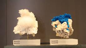 Museo della Flora, Fauna e Mineralogia - >Auronzo di Cadore
