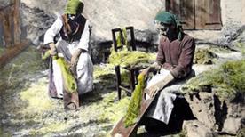 Mostra fotografica “Simone Magnolini”, fotografo del ‘900? - >Borno