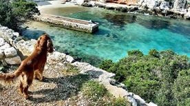 Spiaggia Cala Dragunara - >Alghero