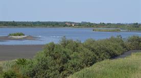 Oasi naturalistica WWF - >Campagna Lupia