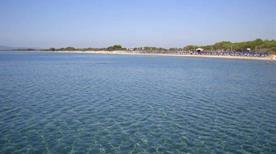 Spiaggia i Pini - >Piombino