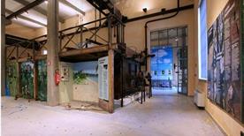 Museo di Storia Naturale - >Piacenza