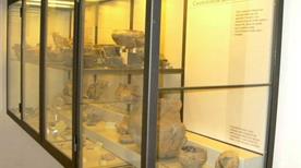 Museo della Terramara - >Poviglio