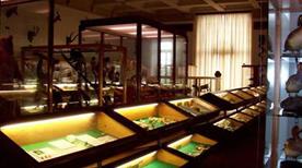 Museo di Storia Naturale A.Stoppani - >Venegono Inferiore