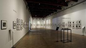 Galleria Civica - >Modena