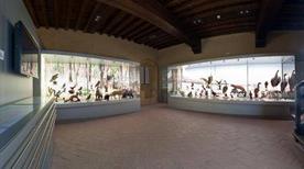 Museo Naturalistico del Frignano - >Pavullo Nel Frignano