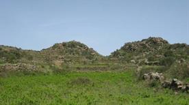 Monte Filo dell'Arpa e Sciara dell'Arpa - >Alicudi
