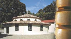 Museo del Parmigiano Reggiano - >Soragna