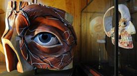 Museo Casartelli - >Como