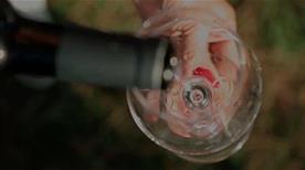 Azienda Agricola Fiorini - >Terre Roveresche