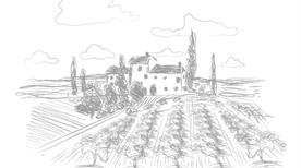 Vini Soncina - >Bedizzole