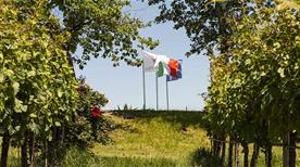 Cantina Ma. Ri. Ca. - >Belvedere Ostrense