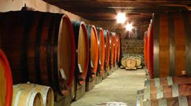 Tenuta Sottomonte Di Buttrio Conte D'Attimis Maniago Di Alberto D'Attimis - >Buttrio