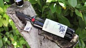 Cantina Di Ruscio - >Campofilone