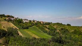 Azienda Agricola Giulio Fiamberti - >Canneto Pavese