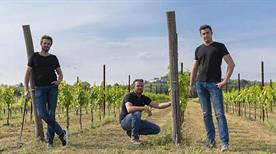 Azienda Agricola Valentino Butussi - >Corno di Rosazzo