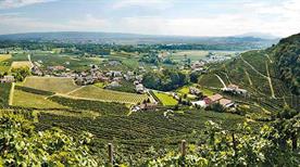 Azienda Merotto - >Farra di Soligo