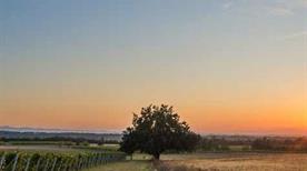 Marchese Luca Spinola - >Gavi