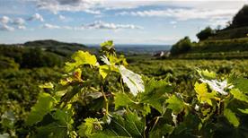 Novaia - >Marano di Valpolicella