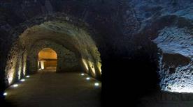 Azienda Vinicola Carbone Societa' Agricola A R.L. - >Melfi