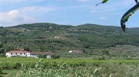Azienda Agricola Marini Giuseppe - >Pistoia