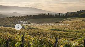 Fattoria Petriolo - >Rignano Sull'Arno