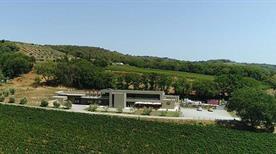 La Regola - Azienda Agricola Nuti Dott. Luca & C. Ss - >San Martino