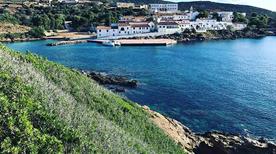 Asinara Catamaran Stintino - >Stintino