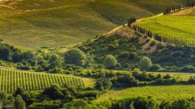 Azienda Agricola Sorelle Palazzi - >Terricciola