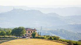 Cantina Peppucci - >Todi