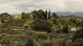 Montelvini S.P.A. - >Volpago del Montello