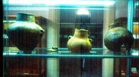 Museo Civico Paleontologico - >Otranto