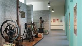 Museo di Scienze della Terra U. Baroli - >Crodo