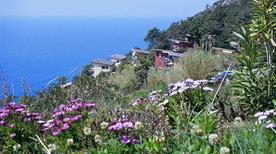 Bosco e Spiaggia del Villaggio la Francesca - >Bonassola
